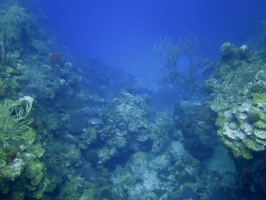 72 Reef IMG 3804